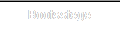 Bootsstege
